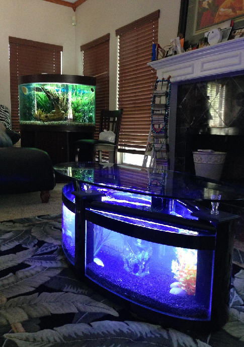 WARRANTY INCLUDED! 60 gallon GLASS oval round table aquarium fish tank setup