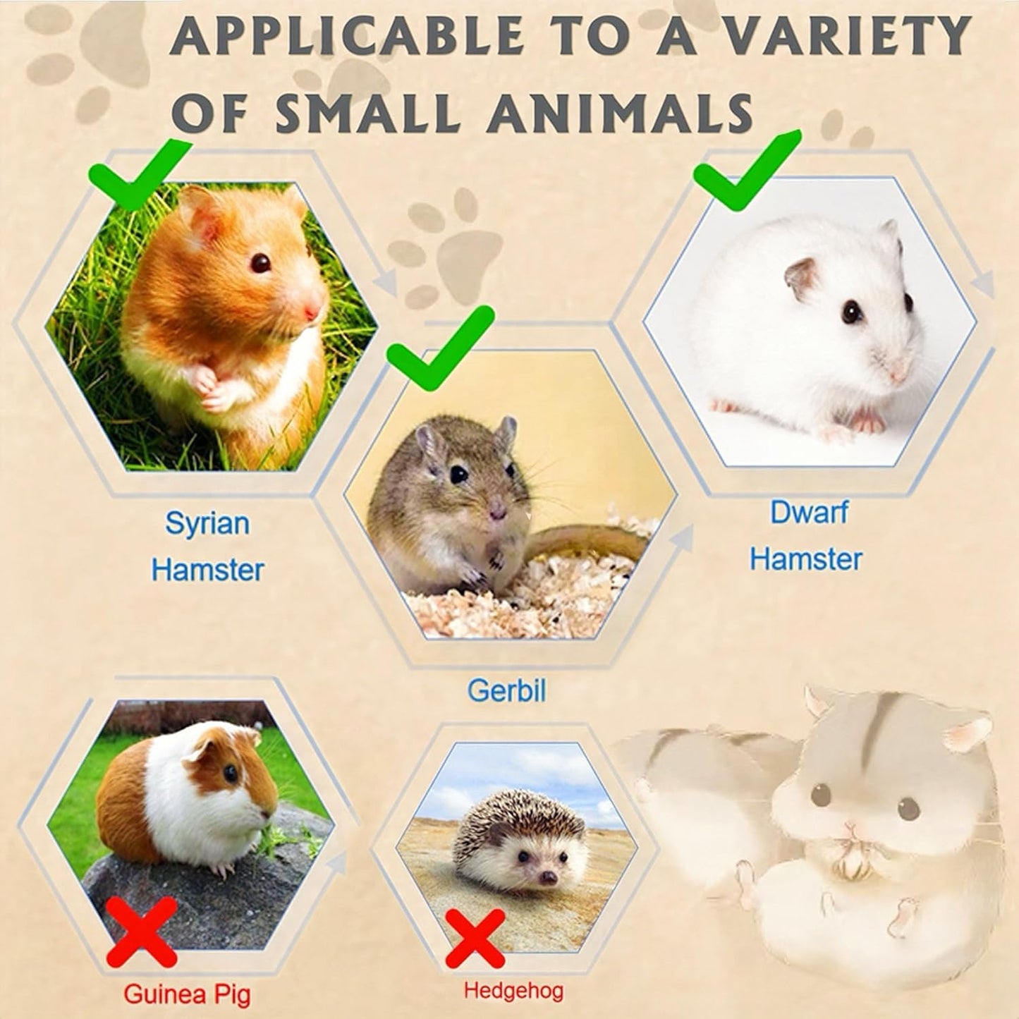 Acrylic Hamster Cage 2 Tier Habitat with Accessories Transparent Small Pets