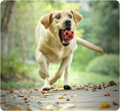 Dog Ball Toy Dog Interactive Toy With Ring Bell Squeak Toys Dog Rubber Bouncy Ball Pet Exercise Game Puzzle Ball To Increase IQ Search Catch Bite Resistant Chewing Toy
