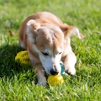 2.5” Squeaky Interactive Dog Balls for Puppy Teething Chew Toys for Small Dogs for Clean Teeth and Training