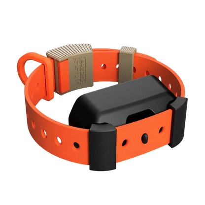 Training Collar Setup