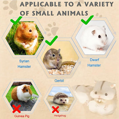 Acrylic Hamster Cage 2 Tier Habitat with Accessories Transparent Small Pets