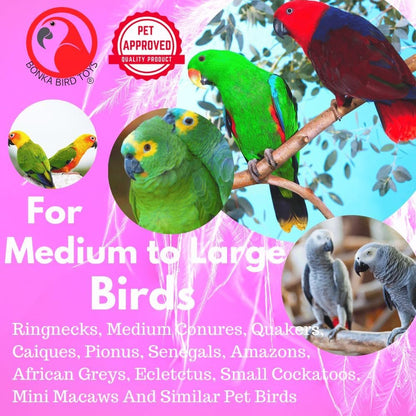 Wide Parrot Toy
