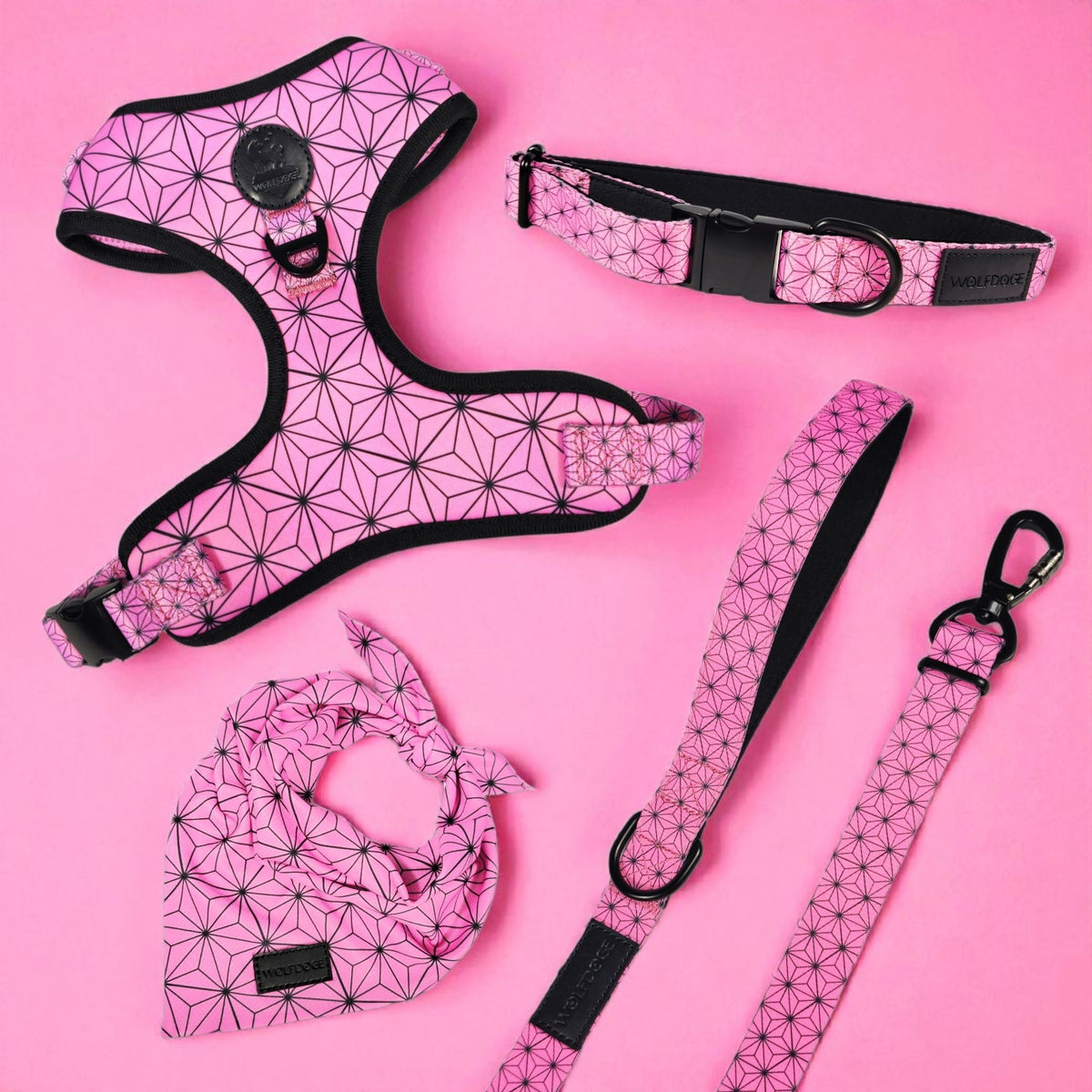Asanoha Harness