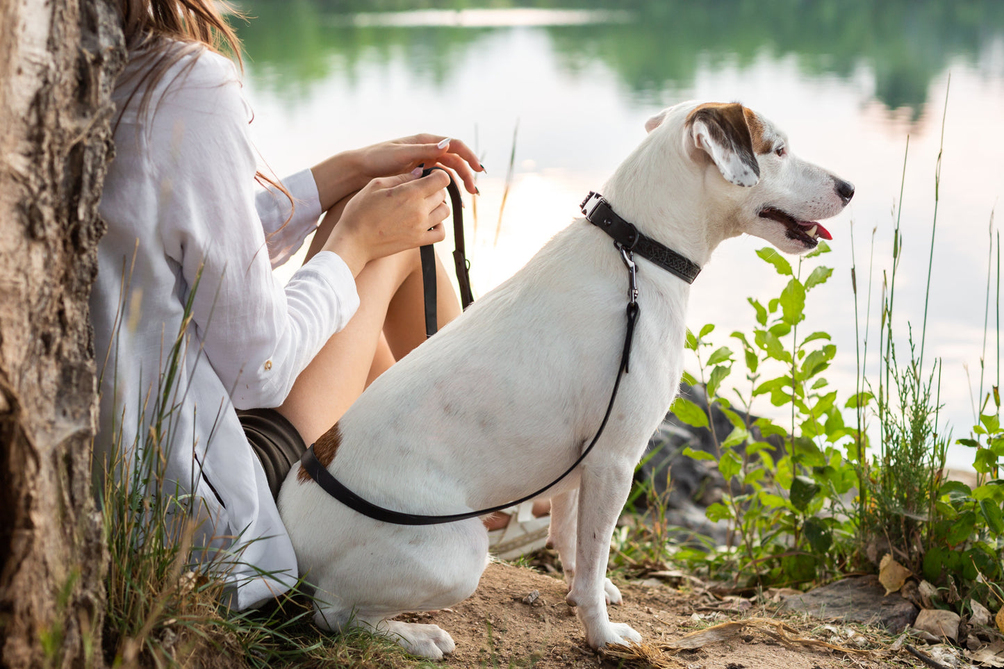 Celtic Sport Quick-Release Leather Dog Collar