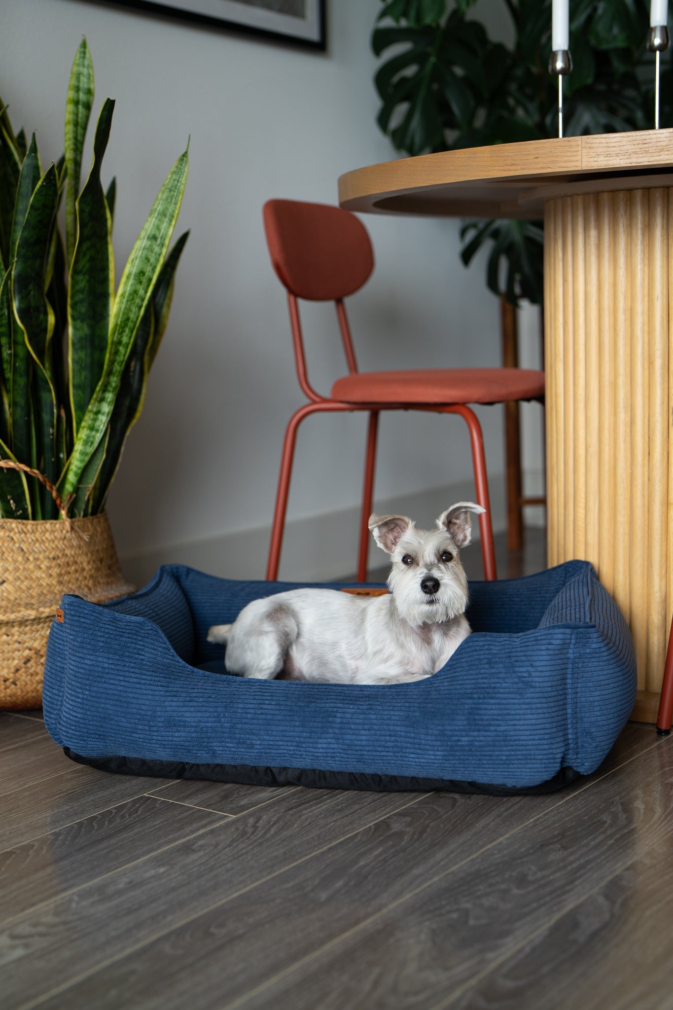 Chester & Lee | Fancy Corduroy Sleeper Dog Bed