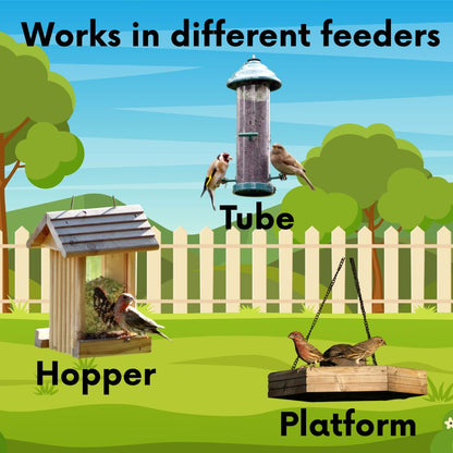 Pollinator & Wild Bird Seed Meadow Mix