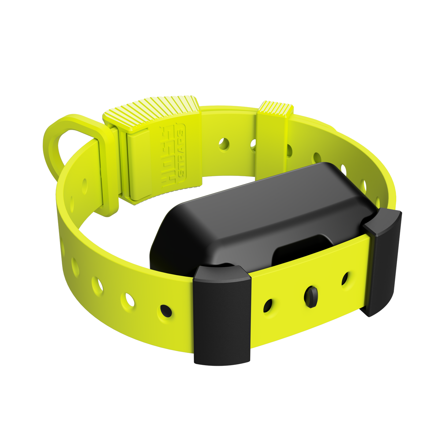 Training Collar Setup