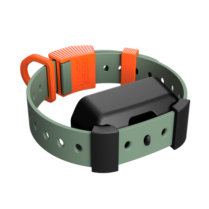 Training Collar Setup
