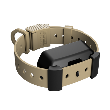Training Collar Setup