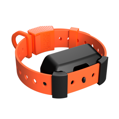 Training Collar Setup