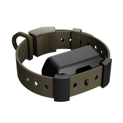 Training Collar Setup