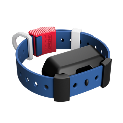 Training Collar Setup