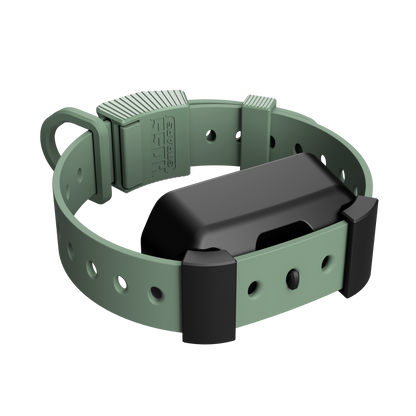 Training Collar Setup