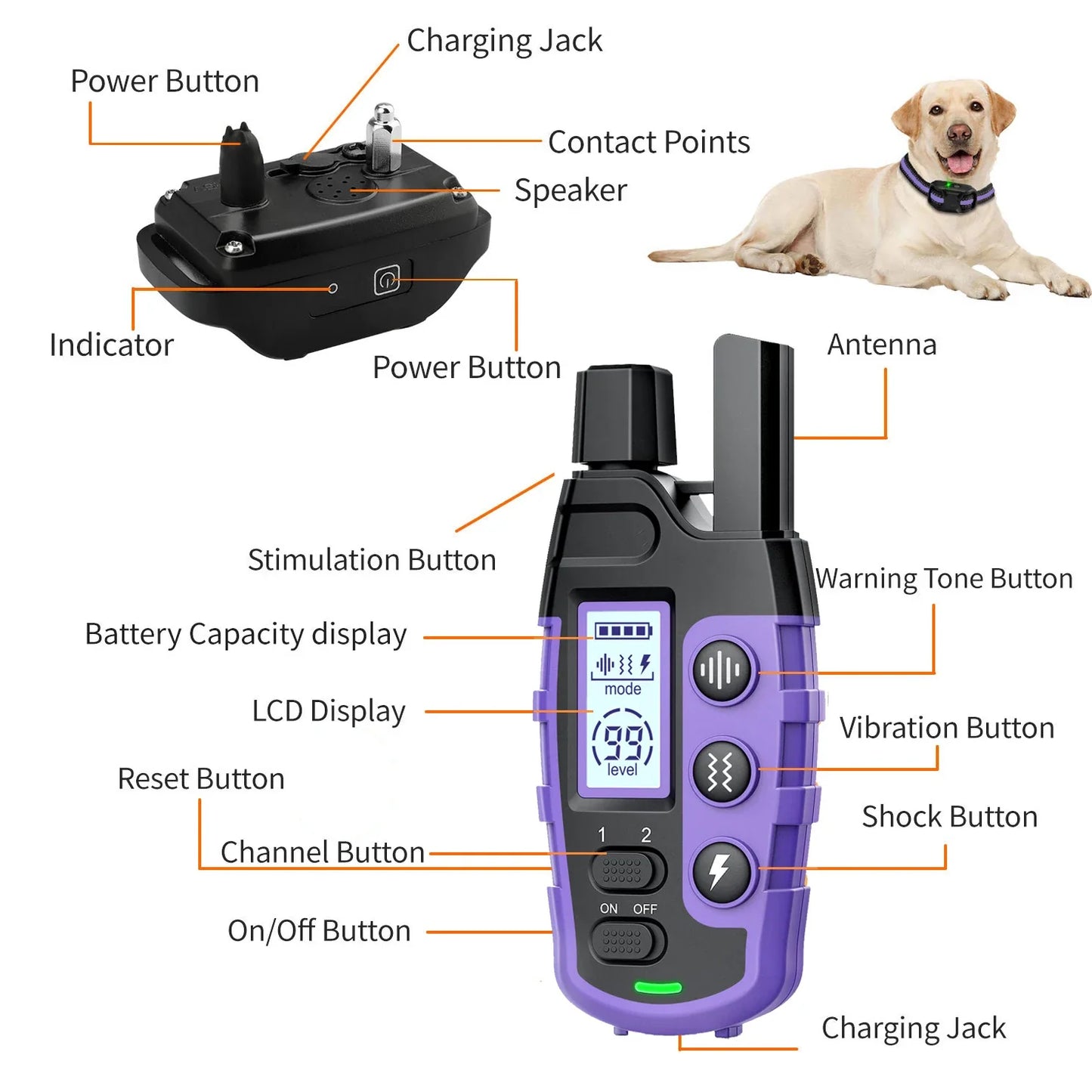 WXRPETH Dog Training Collar Remote Waterproof Shock Beep Vibration