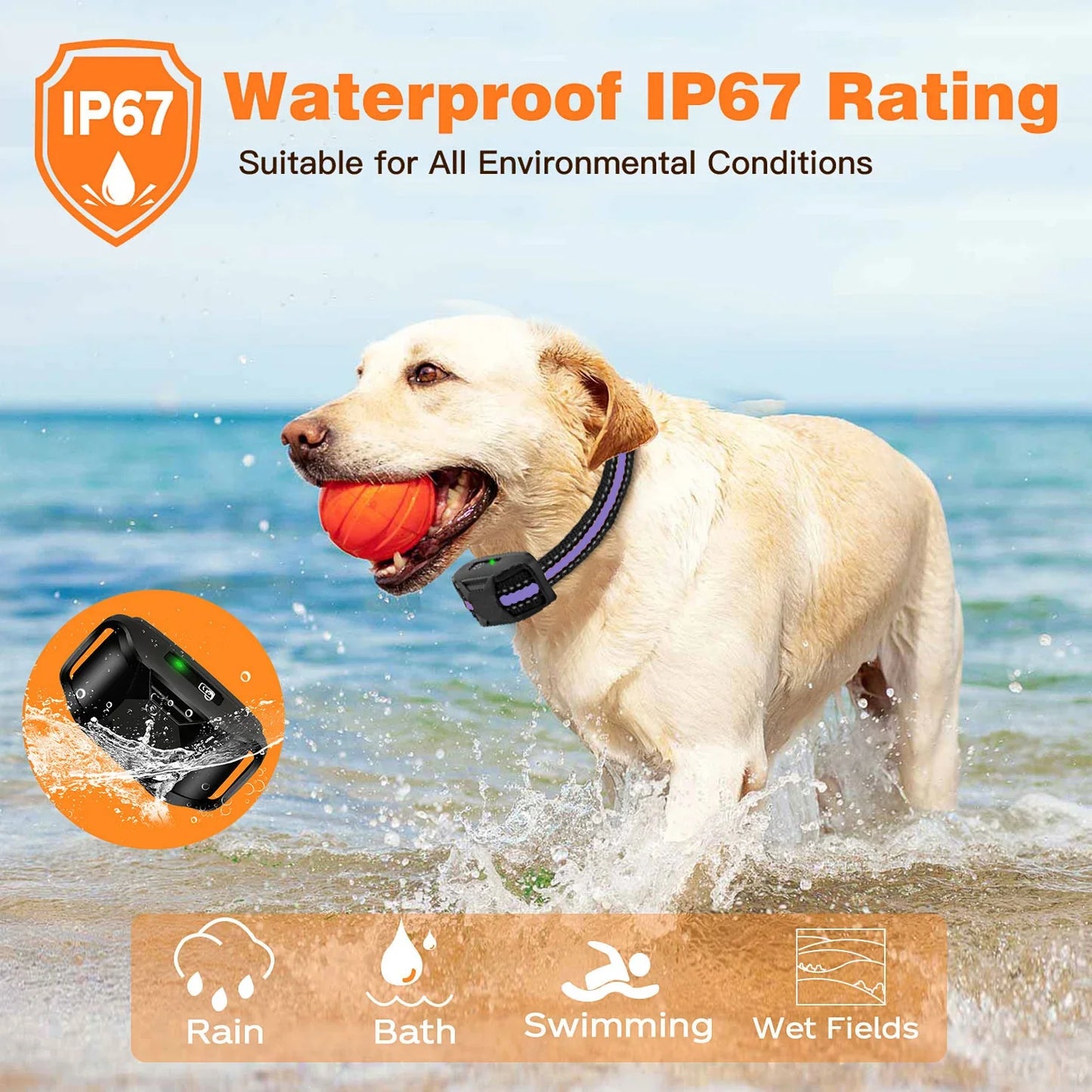 WXRPETH Dog Training Collar Remote Waterproof Shock Beep Vibration