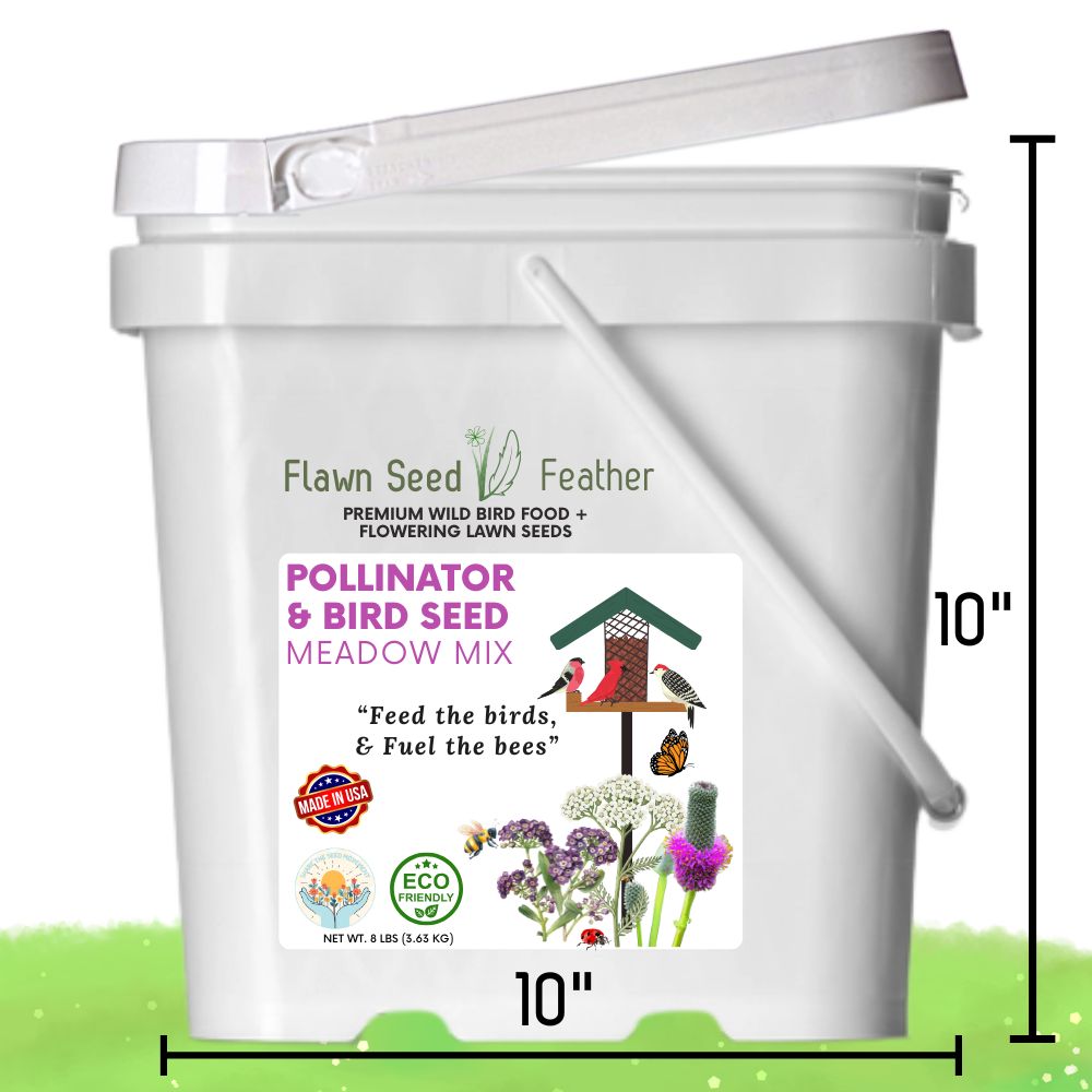 Pollinator & Wild Bird Seed Meadow Mix