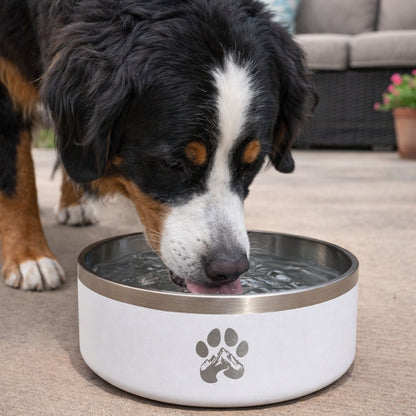 Stainless Steel Feeder Bowl