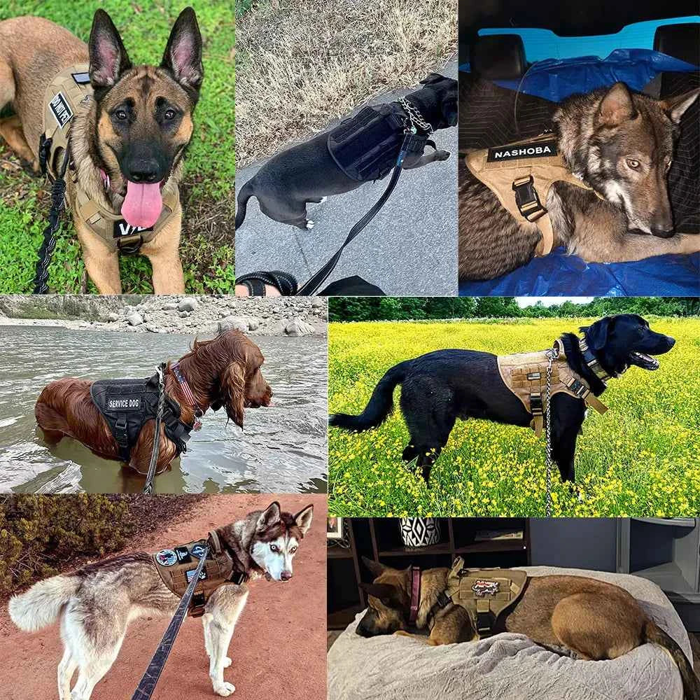 Heavy Duty No Pull Dog Harness and Leash Set – Tactical Training Vest for Medium to Large Dogs