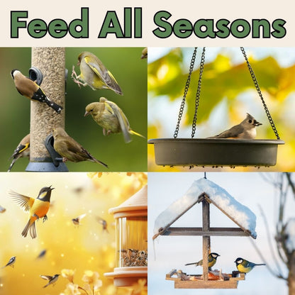 Pollinator & Wild Bird Seed Meadow Mix