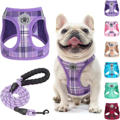Step-In Dog Harness & Leash Set in Various Patterns – Reflective No Pull (XS- XL)