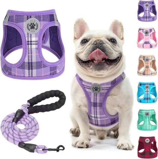 Step-In Dog Harness & Leash Set in Various Patterns – Reflective No Pull (XS- XL)