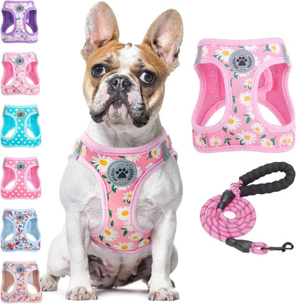 Step-In Dog Harness & Leash Set in Various Patterns – Reflective No Pull (XS- XL)
