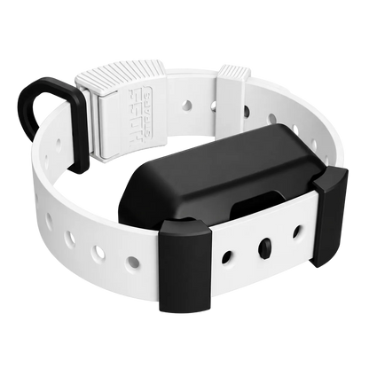 Training Collar Setup