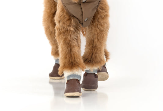 The Stassi- Dog Snow Boots