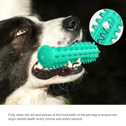 Dog Chew Toys Dog Toothbrush Stick