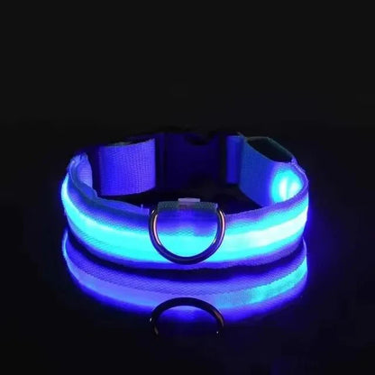 LED Dog Collar | Nylon Light-Up Safety Collar with Reflective Glow and 3 Flashing Modes