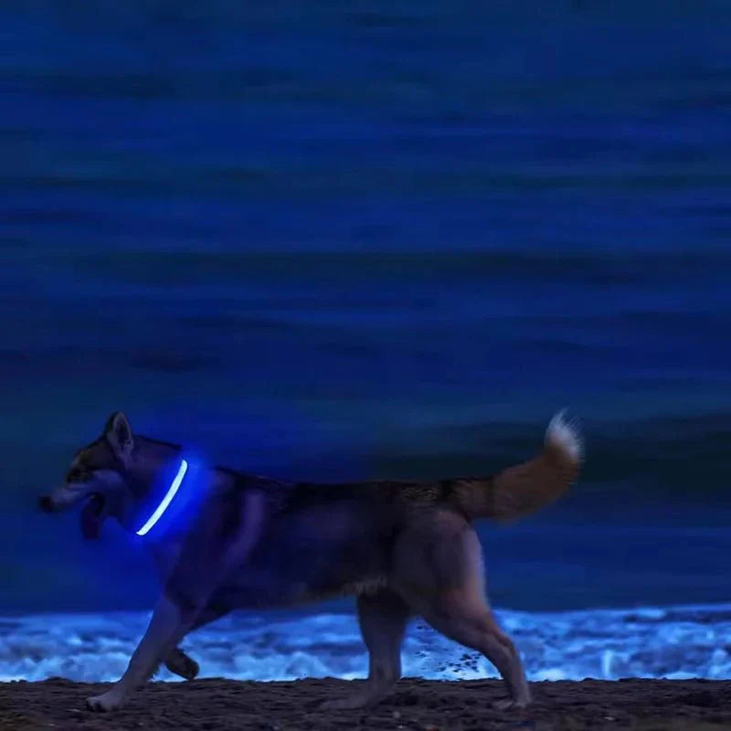LED Dog Collar | Nylon Light-Up Safety Collar with Reflective Glow and 3 Flashing Modes