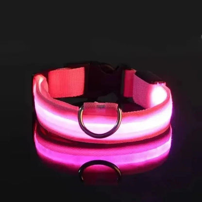 LED Dog Collar | Nylon Light-Up Safety Collar with Reflective Glow and 3 Flashing Modes