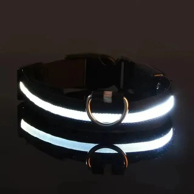 LED Dog Collar | Nylon Light-Up Safety Collar with Reflective Glow and 3 Flashing Modes