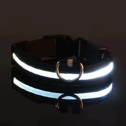 LED Dog Collar | Nylon Light-Up Safety Collar with Reflective Glow and 3 Flashing Modes