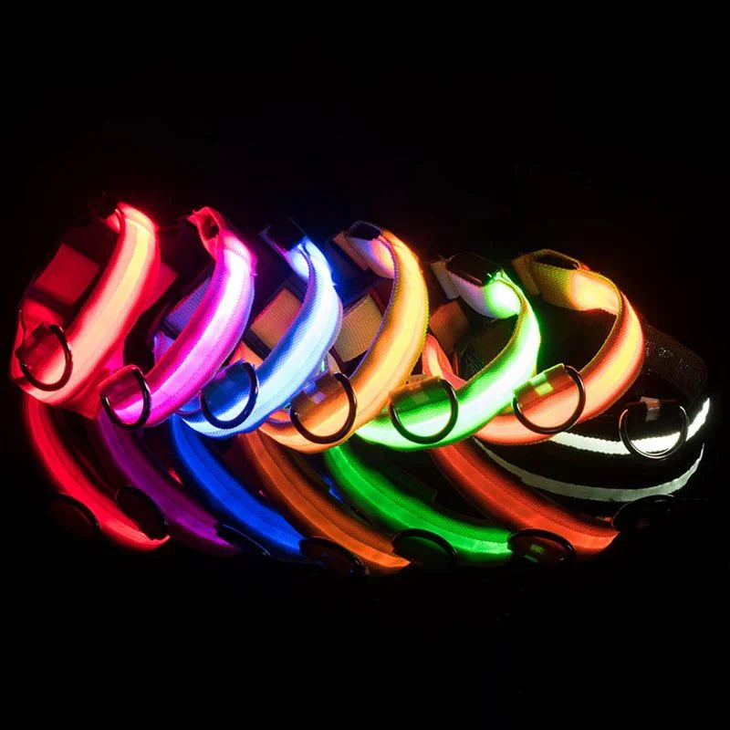 LED Dog Collar | Nylon Light-Up Safety Collar with Reflective Glow and 3 Flashing Modes