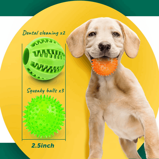 2.5” Squeaky Interactive Dog Balls for Puppy Teething Chew Toys for Small Dogs for Clean Teeth and Training
